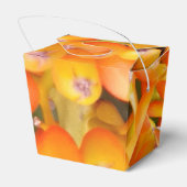 Blume Saatgut Ausnehmen Geschenkschachtel (Rückseite)