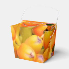 Blume Saatgut Ausnehmen Geschenkschachtel