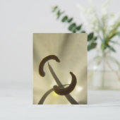 Blume Saatgut Postkarte (Stehend Vorderseite)