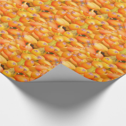 Blume Saatpapier Geschenkpapier (Ecke)