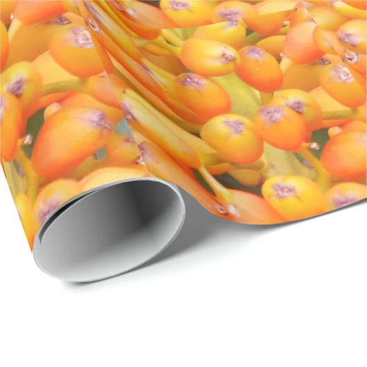 Blume Saatpapier Geschenkpapier (Rolleneckpunkt)