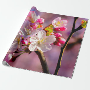 Blume Sakura im Garten Geschenkpapier