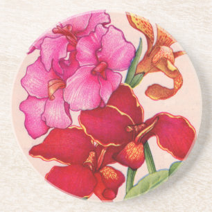 Blume Sandstein Untersetzer