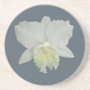 Blume Sandstein Untersetzer