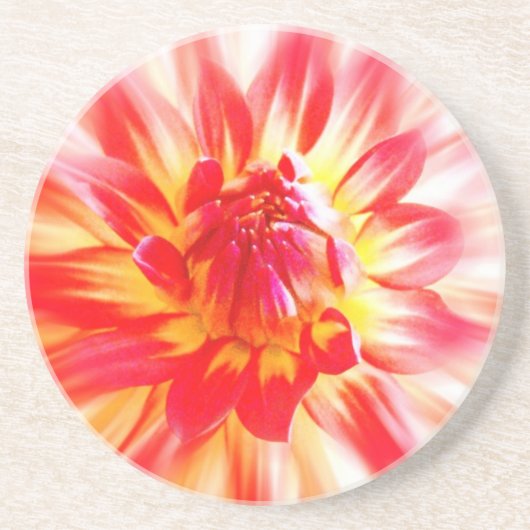 Blume Sandstein Untersetzer (Vorne)