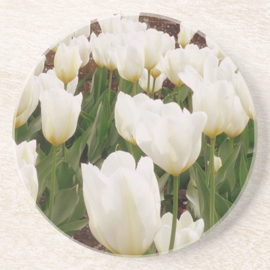 Blume Sandstein Untersetzer (Vorne)