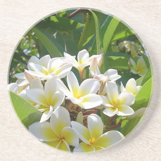 Blume Sandstein Untersetzer (Vorne)