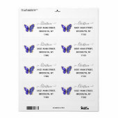 Blume Sapphire Butterfly (Vorne)