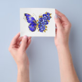 Blume Sapphire Butterfly Flyer (Gruppe)