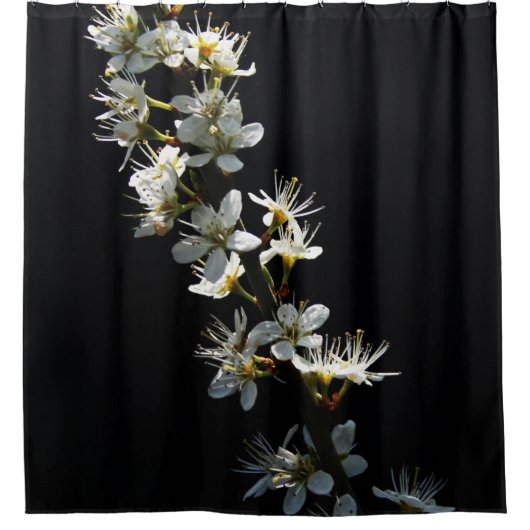 Blume scccna duschvorhang (Vorderseite)