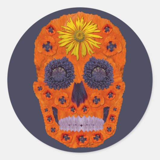 Blume Schädel 1 Runder Aufkleber (Vorderseite)