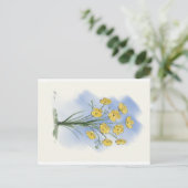 Blume-Schmetterbecher-Aquarellkarte Postkarte (Stehend Vorderseite)