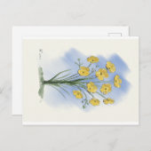 Blume-Schmetterbecher-Aquarellkarte Postkarte (Vorne/Hinten)