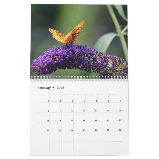 Blume, Schmetterlinge und Umarmungskalender Kalender (Feb 2026)