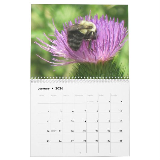 Blume, Schmetterlinge und Umarmungskalender Kalender (Jan 2026)