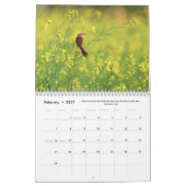 Blume, Schmetterlinge und Vögel 12 Monate Kalender (Feb 2027)