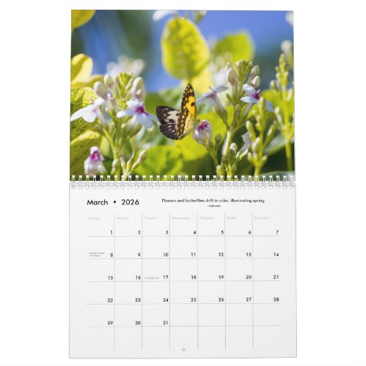 Blume, Schmetterlinge und Vögel 12 Monate Kalender (Mär 2026)