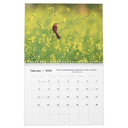 Blume, Schmetterlinge und Vögel 12 Monate Kalender (Feb 2026)