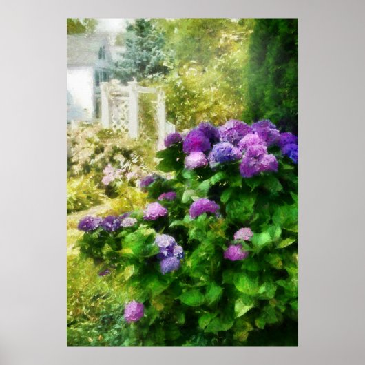 Blume - Schönes Hydrangea Poster (Vorne)
