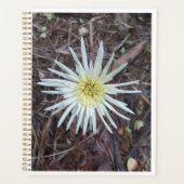 BLUME SCHÖNHEIT FÜR NATURSCHUTZ PLANER (Vorderseite)