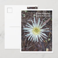 BLUME SCHÖNHEIT FÜR NATURSCHUTZ