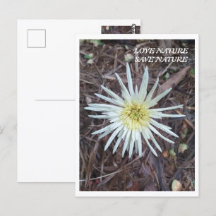 BLUME SCHÖNHEIT FÜR NATURSCHUTZ POSTKARTE
