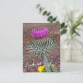Blume Schottlands, das Thistle Postkarte (Stehend Vorderseite)