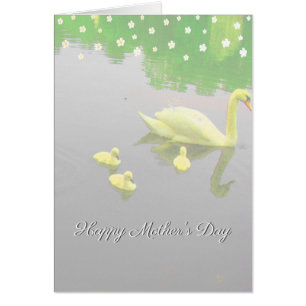 Blume & Schwanensee Muttertag