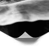 Blume Schwarz-Weiß-Fotografien drucken Poster (Ecke)