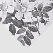 Blume Schwarze und Weiße Rose Seidenpapier (Ausschnitt)