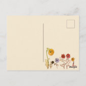 Blume sehen postkarte (Rückseite)