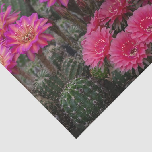 Blume Seidenpapier (Ausschnitt)