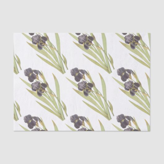 Blume Seidenpapier (Vorderseite)
