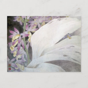 Blume Seires II - Phaios Postkarte