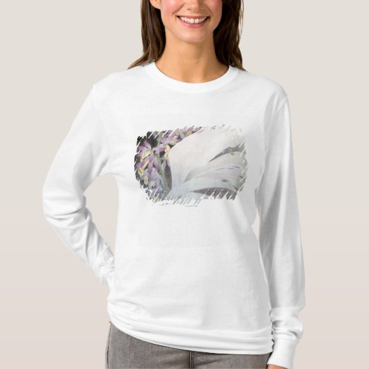 Blume Seires II Phaiuses T-Shirt (Vorderseite)