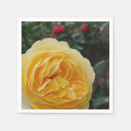 Blume-Servietten Serviette (Vorderseite)