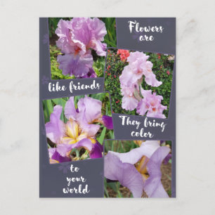 Blume sind wie Friends Postcard Postkarte