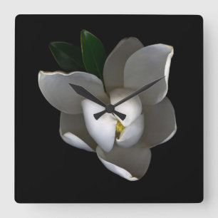Blume   Single White Magnolia Blossom Quadratische Wanduhr