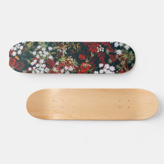 Blume Skate Skateboard (Horizontal)
