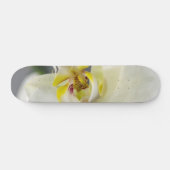 Blume Skateboard (Horizontal)