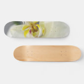 Blume Skateboard (Horizontal)