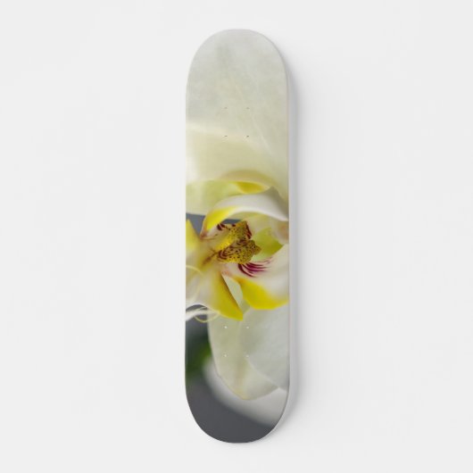Blume Skateboard (Vorne)
