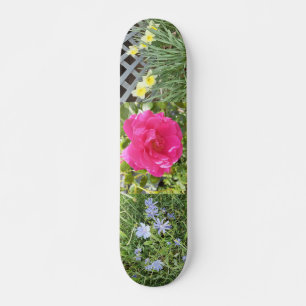 Blume Skateboard