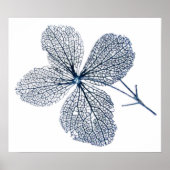 Blume Skeleton ~ Druck Poster (Vorne)