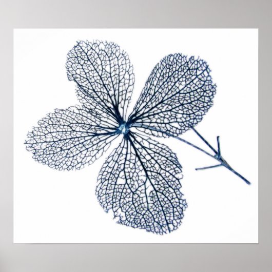 Blume Skeleton ~ Druck Poster (Vorne)