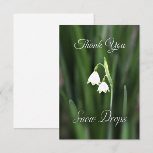 Blume Snow Drops dank Karte (Vorne/Hinten)