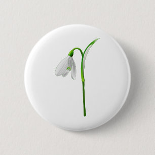 Blume Snowdrop Pflanze Weiße Blume Button