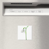 Blume Snowdrop Pflanze Weiße Blume Magnet (In Situ (Geschirrspüler))