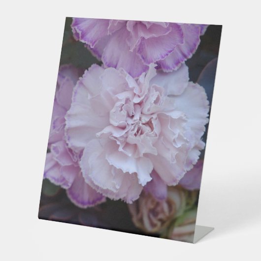 Blume Sockelschild (Vorderseite)