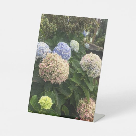 Blume Sockelschild (Vorderseite)